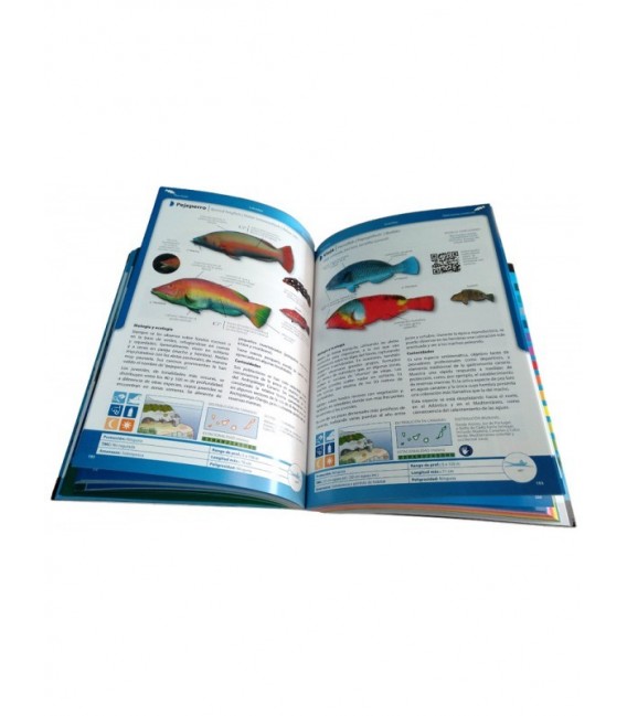 Canary Islands Marine Biodiversity Guide