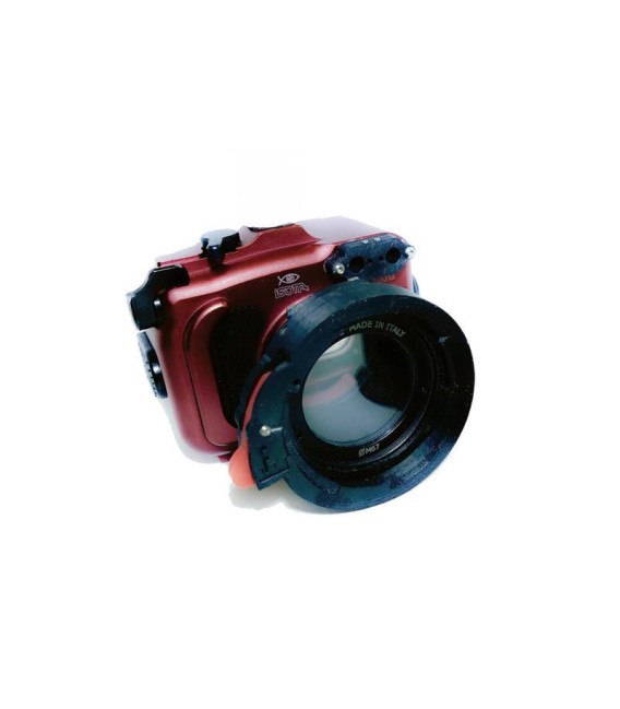 Adaptador bayoneta Easyfit V2