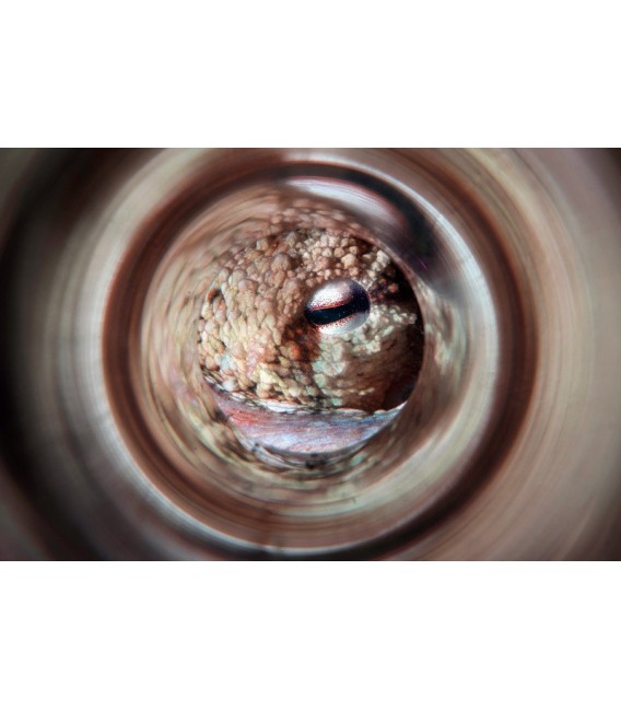 SAGA Magic Tube Lens