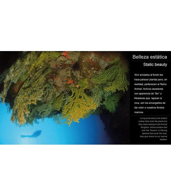 Canarias, Naturaleza Sumergida