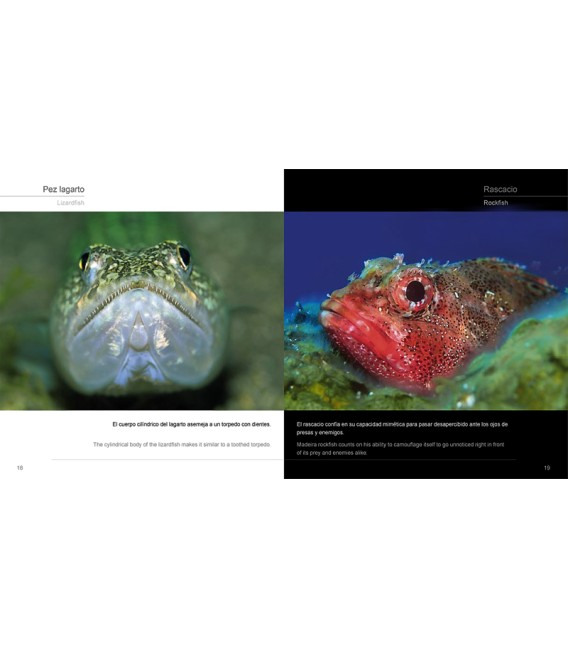 Canarias, Naturaleza Sumergida