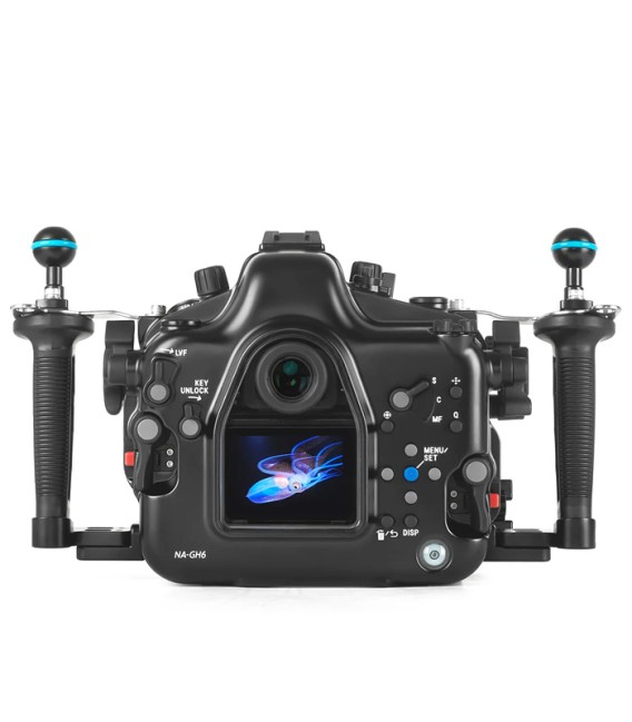 Caja Nauticam NA-GH6 17720