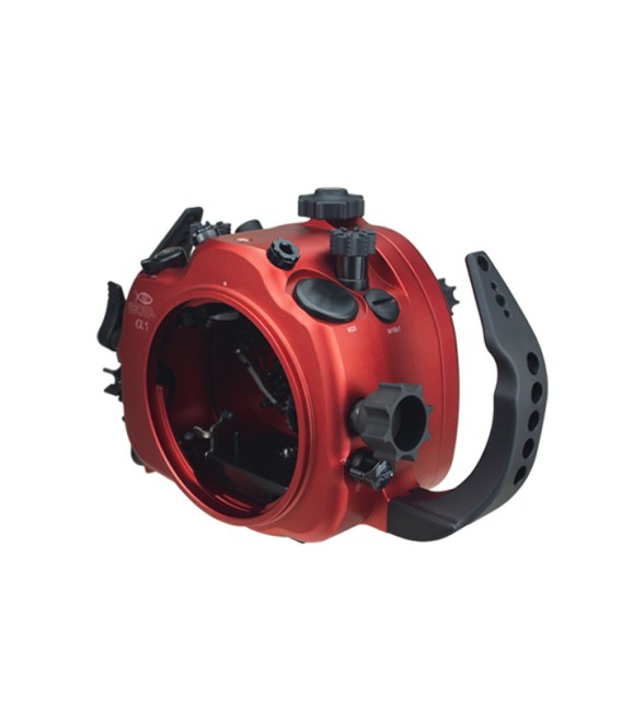 Caja Isotta Sony Alpha 1