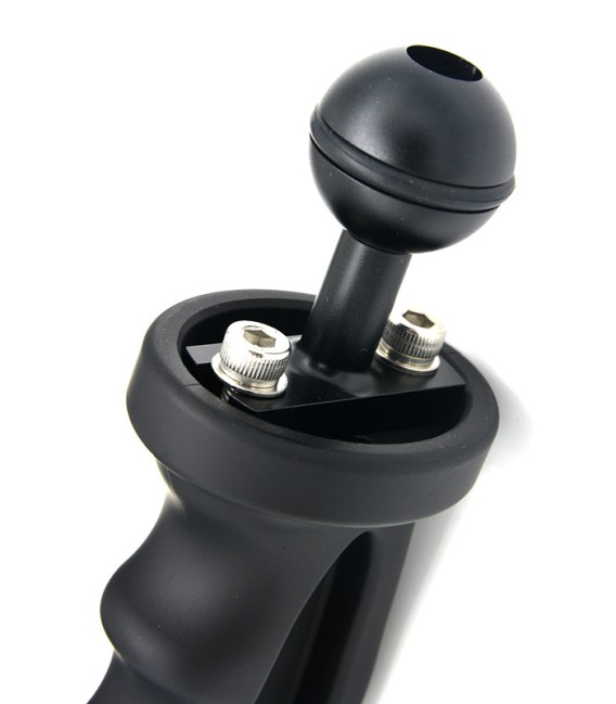 Double handle tray for GoPro