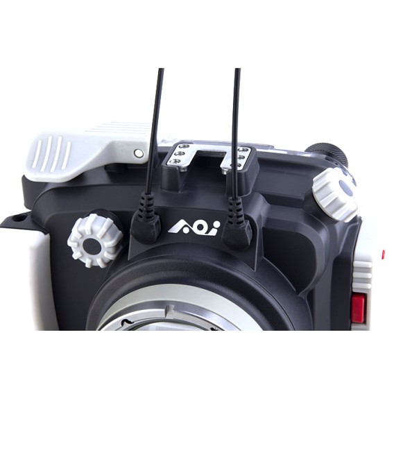 Caja AOi Olympus E-PL9/10