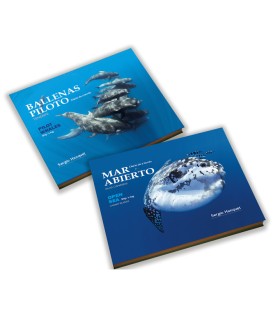 Pilot Whales and Open Sea