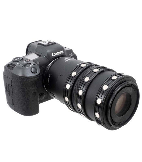 Canon R6 MkII X-2 INON