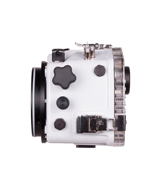 NIKON D500 200DL IKELITE