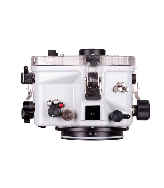 NIKON D500 200DL IKELITE