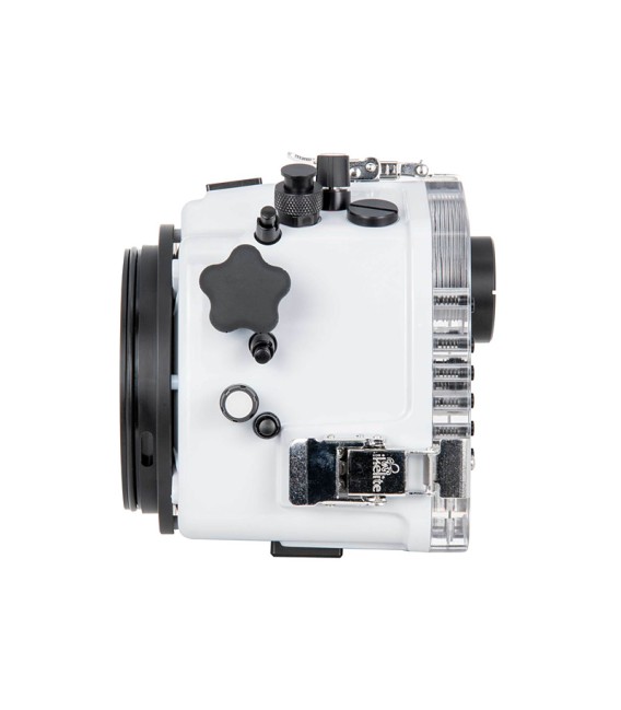 NIKON D780 200DL IKELITE