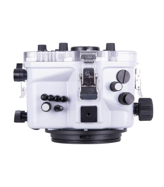 CANON EOS 90D 200DL IKELITE