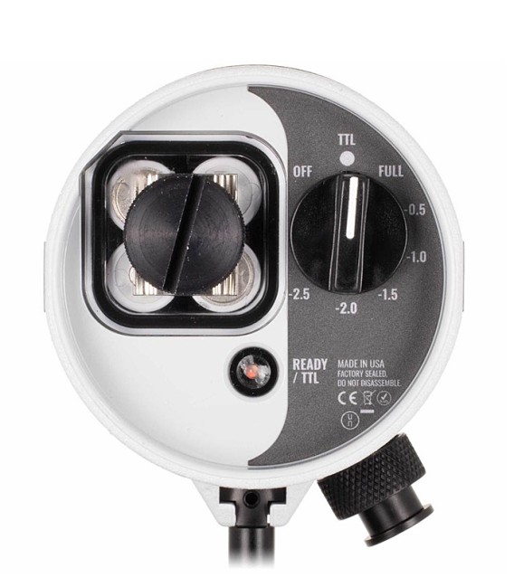 DS51 II Strobe Ikelite