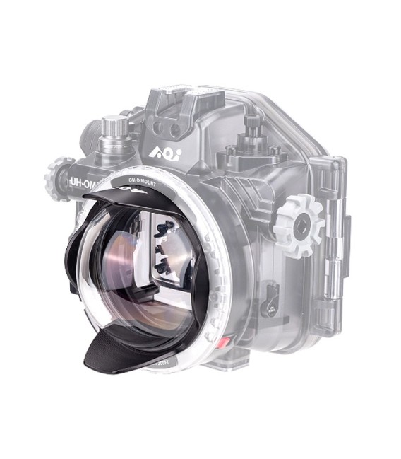 4" Glass Dome OM-D Port AOi