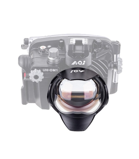 4" Glass Dome PEN Port AOi