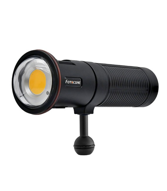 M12 12000 Lumens Fotocore