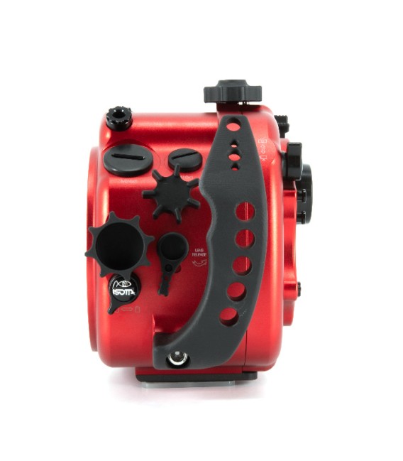 Canon EOS R6II Isotta