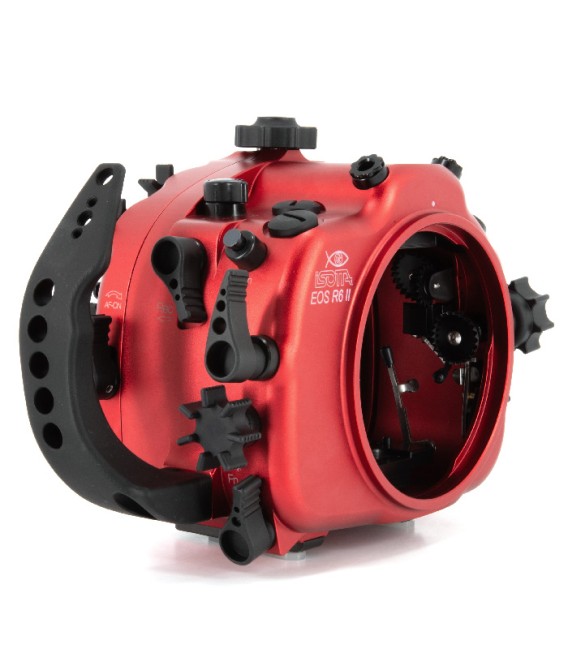 Canon EOS R6II Isotta