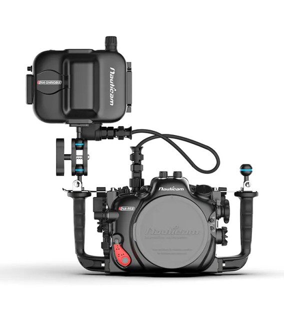 Atomos Shinobi 5.2" NA-Shinobi II
