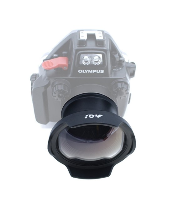 4" Glass Semi-Dome PEN Port AOi