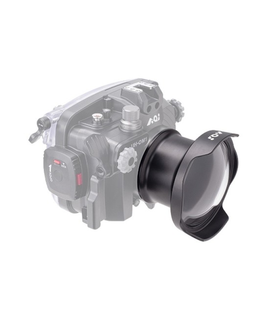 4" Glass Semi-Dome PEN Port AOi