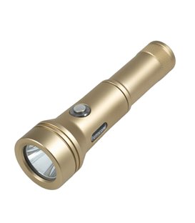 Foco D2 Fotocore 2400