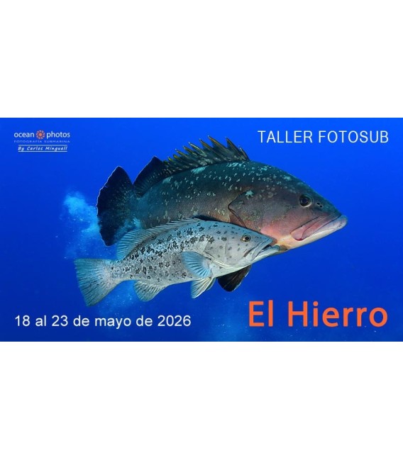 RESERVA TALLER FOTOSUB EL HIERRO mayo 2026