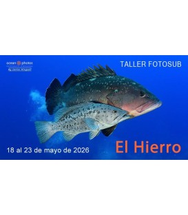 RESERVA TALLER FOTOSUB EL HIERRO mayo 2026