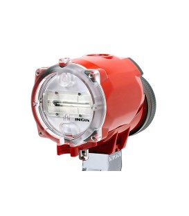 More about Flash INON S-2000