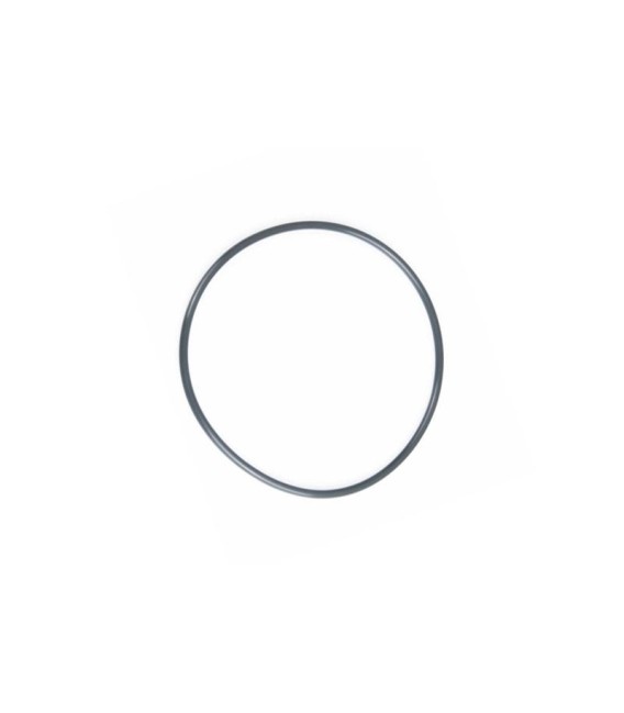 Nauticam port O-Ring N120 28304