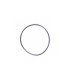 Nauticam port O-Ring N120 28304