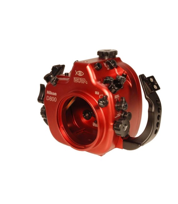 Nikon D800 Isotta