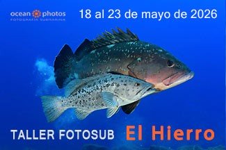 Taller Fotosub El Hierro mayo 2026