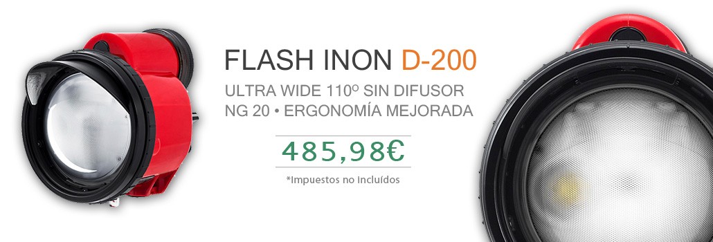 FLASH INON D-200