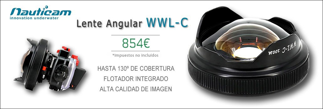 WWL-C